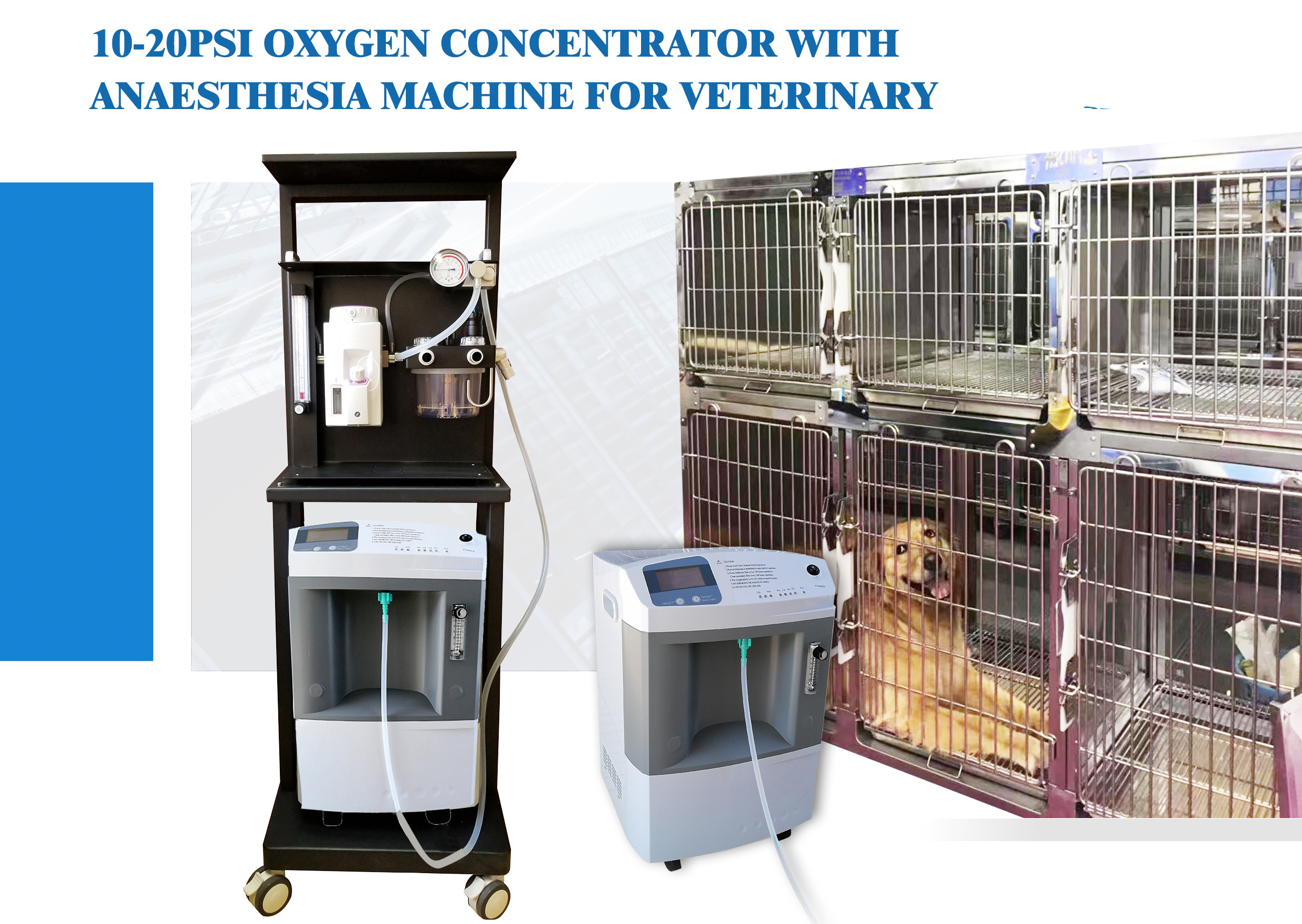 small dog oxygen concentrator